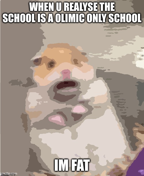 me | WHEN U REALYSE THE SCHOOL IS A OLIMIC ONLY SCHOOL; IM FAT | image tagged in scared hamster | made w/ Imgflip meme maker