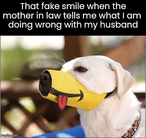 The snarl inside that fake smile is huge. | That fake smile when the mother in law tells me what I am 
doing wrong with my husband | image tagged in marriage | made w/ Imgflip meme maker