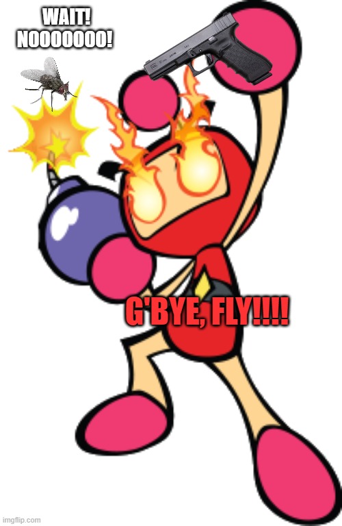 G'bye | WAIT! NOOOOOOO! G'BYE, FLY!!!! | image tagged in red bomber 3,bomberman | made w/ Imgflip meme maker