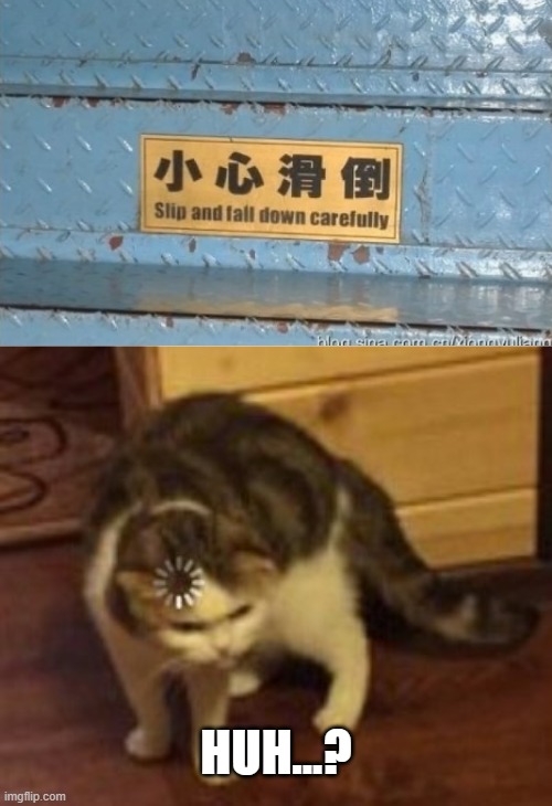 Loading cat | HUH...? | image tagged in loading cat,sign,slip,fall,be careful | made w/ Imgflip meme maker