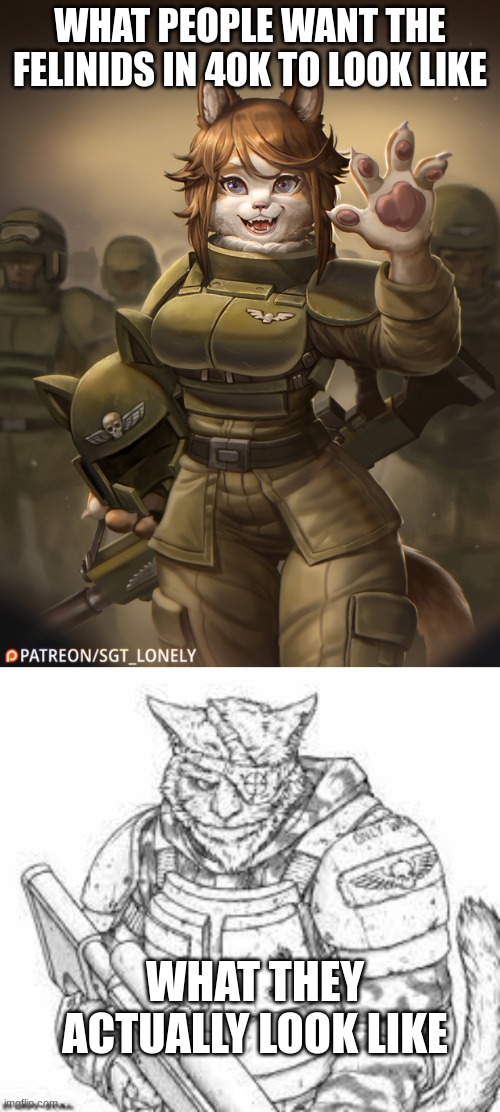 Yes | WHAT PEOPLE WANT THE FELINIDS IN 40K TO LOOK LIKE; WHAT THEY ACTUALLY LOOK LIKE | made w/ Imgflip meme maker
