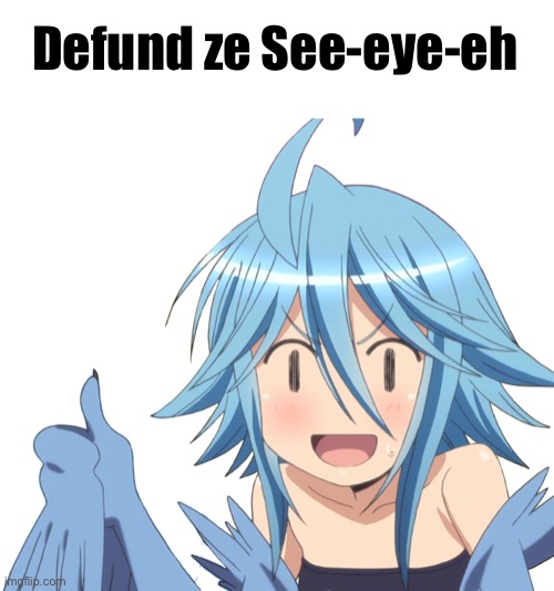See-eye-ehhh | Defund ze See-eye-eh | image tagged in papi thumbs up,memes | made w/ Imgflip meme maker