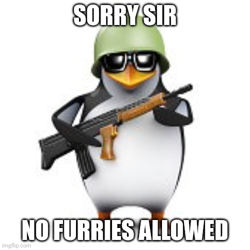 no anime penguin | SORRY SIR NO FURRIES ALLOWED | image tagged in no anime penguin | made w/ Imgflip meme maker