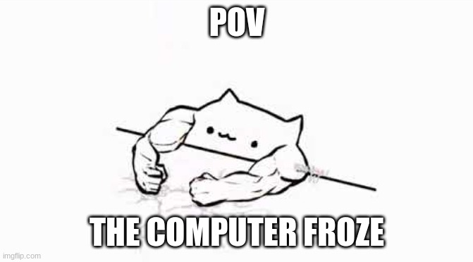 POV; THE COMPUTER FROZE | image tagged in bongo cat | made w/ Imgflip meme maker