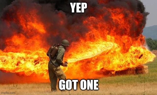 Nope flamethrower | YEP GOT ONE | image tagged in nope flamethrower | made w/ Imgflip meme maker