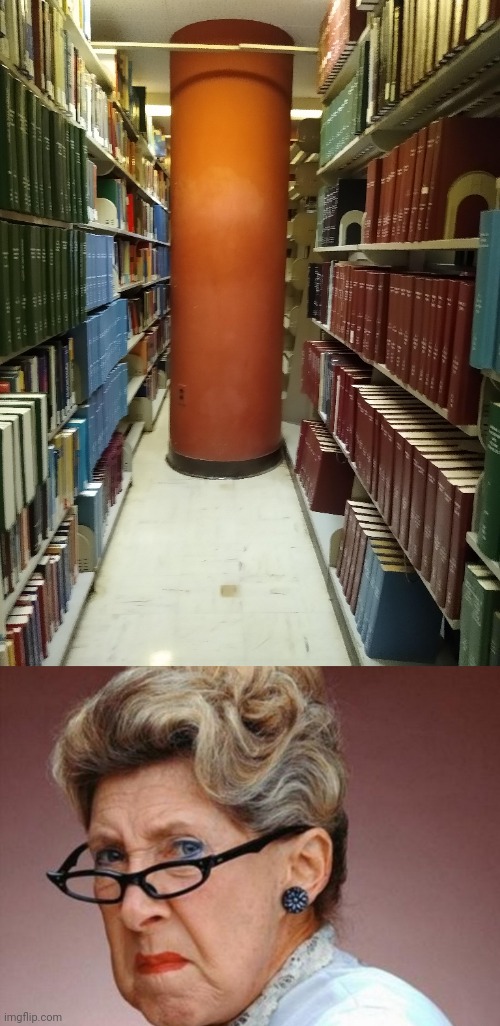 Blocking parts of the library | image tagged in angrey librarian,you had one job,design fails,memes,library,blocked | made w/ Imgflip meme maker