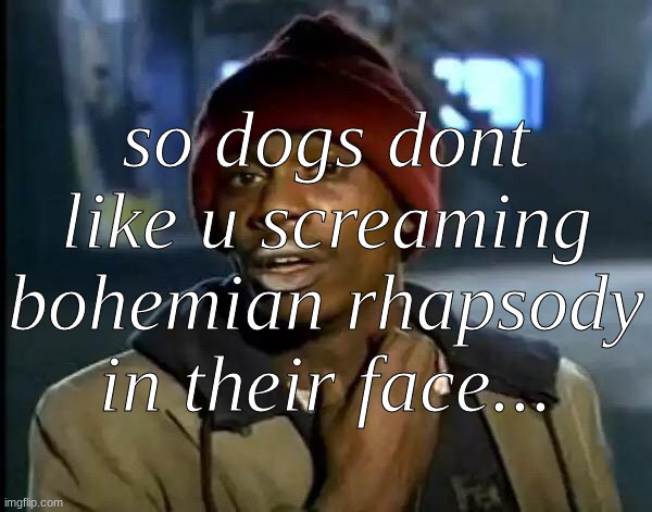 Y'all Got Any More Of That Meme | so dogs dont like u screaming bohemian rhapsody in their face... | image tagged in memes,y'all got any more of that | made w/ Imgflip meme maker