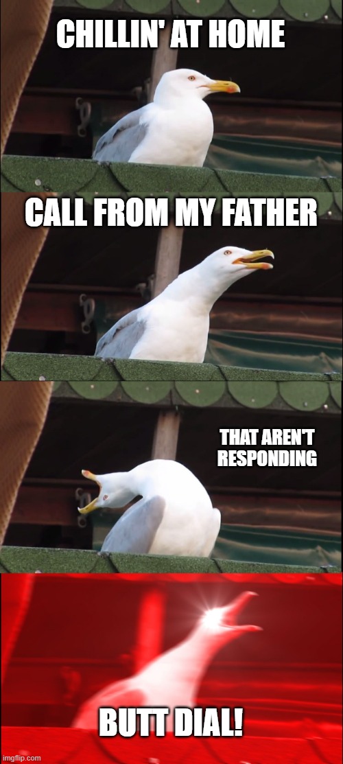 Seagull reeeeeeeeeeeeeeeeee | CHILLIN' AT HOME; CALL FROM MY FATHER; THAT AREN'T RESPONDING; BUTT DIAL! | image tagged in memes,inhaling seagull | made w/ Imgflip meme maker
