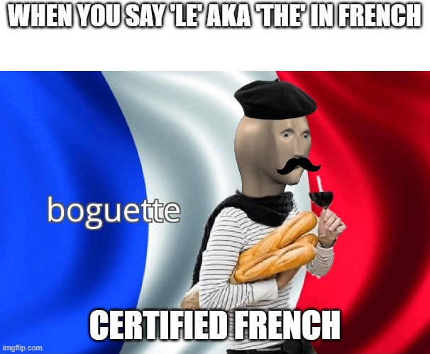 Certified French | WHEN YOU SAY 'LE' AKA 'THE' IN FRENCH; CERTIFIED FRENCH | image tagged in boguette | made w/ Imgflip meme maker