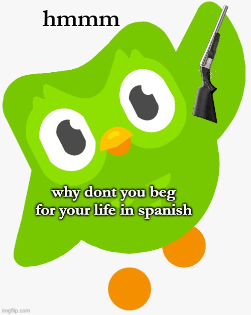 duolingo | hmmm; why dont you beg for your life in spanish | made w/ Imgflip meme maker