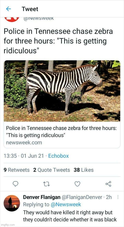 Racism | image tagged in cursed | made w/ Imgflip meme maker