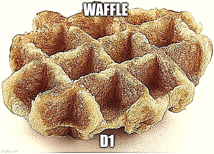 ye waffels | WAFFLE; D1 | image tagged in waffle | made w/ Imgflip meme maker