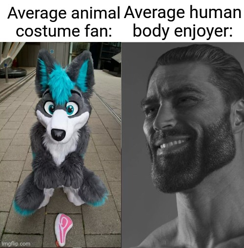 Got this idea from a YouTube video | Average human body enjoyer:; Average animal costume fan: | image tagged in average fan vs average enjoyer | made w/ Imgflip meme maker