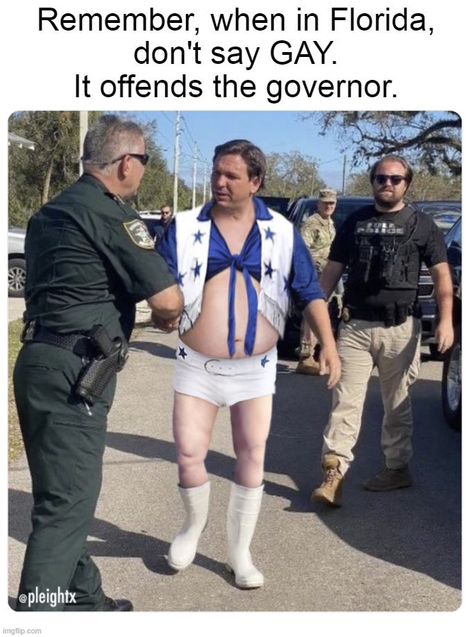 moRon deSadist (hitleranus fatassamus) | Remember, when in Florida,
don't say GAY.
It offends the governor. | image tagged in desantis,joto,cheerleader,cheer,followers,worse than hitler | made w/ Imgflip meme maker