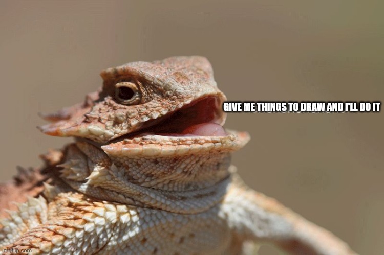 laughing lizard | GIVE ME THINGS TO DRAW AND I'LL DO IT | image tagged in laughing lizard | made w/ Imgflip meme maker