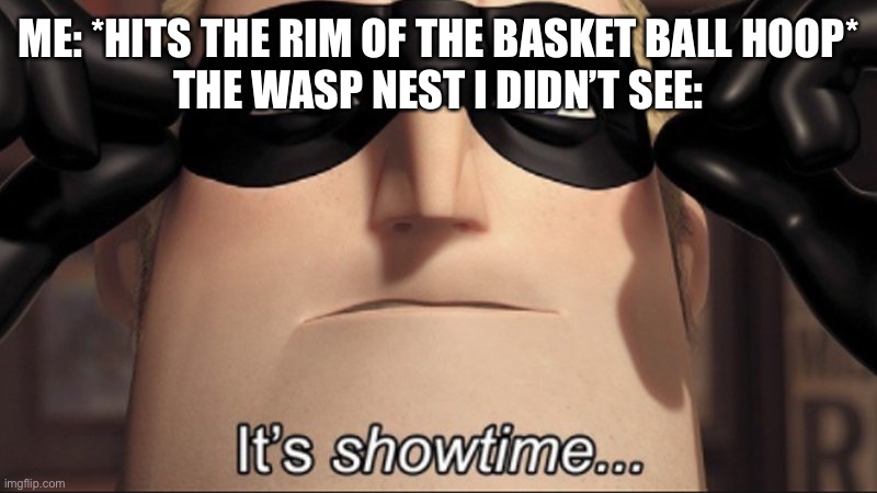 It's showtime | ME: *HITS THE RIM OF THE BASKET BALL HOOP*
THE WASP NEST I DIDN’T SEE: | image tagged in it's showtime | made w/ Imgflip meme maker