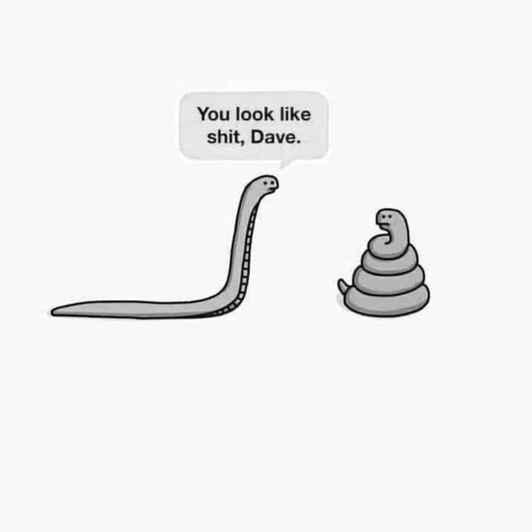You look like shit, Dave! | image tagged in shitstain,shitstorm,shitpost,poop,poop emoji,poop memes | made w/ Imgflip meme maker