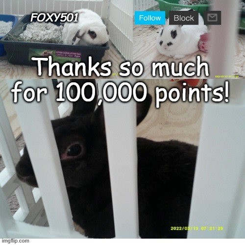 Foxy501 announcement template | Thanks so much for 100,000 points! | image tagged in foxy501 announcement template | made w/ Imgflip meme maker