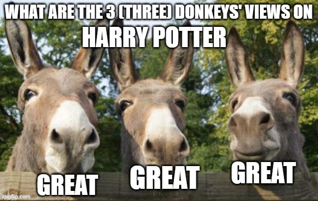 What are the 3 (three) donkeys' views on X | HARRY POTTER; GREAT; GREAT; GREAT | image tagged in what are the 3 three donkeys' views on x | made w/ Imgflip meme maker