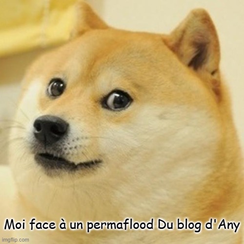 Doge Meme | Moi face à un permaflood Du blog d'Any | image tagged in memes,doge | made w/ Imgflip meme maker