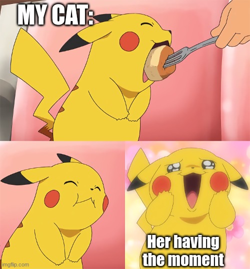 funny bunny | MY CAT:; Her having the moment | image tagged in pikachu loves food | made w/ Imgflip meme maker