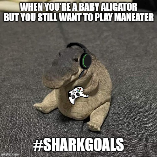 Alli-gator | WHEN YOU’RE A BABY ALIGATOR BUT YOU STILL WANT TO PLAY MANEATER; #SHARKGOALS | image tagged in alli-gator | made w/ Imgflip meme maker