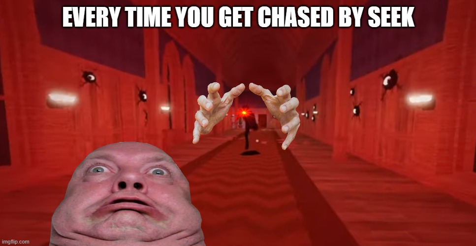 SEEK | EVERY TIME YOU GET CHASED BY SEEK | image tagged in seek chase | made w/ Imgflip meme maker