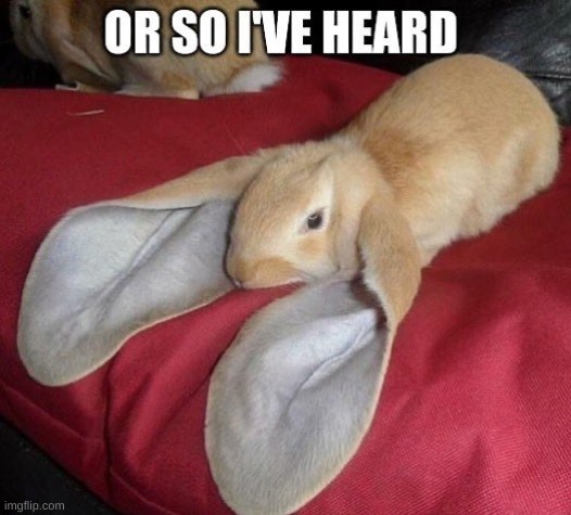 or so i've heard | image tagged in or so i've heard | made w/ Imgflip meme maker