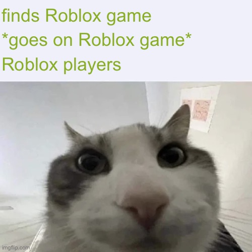 green text cat | finds Roblox game *goes on Roblox game* Roblox players | image tagged in green text cat | made w/ Imgflip meme maker