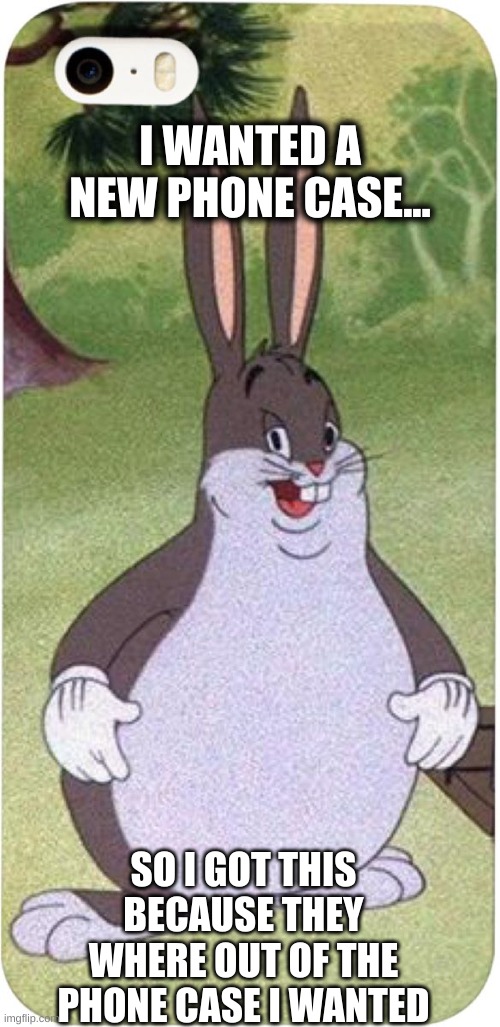 my new phone case | I WANTED A NEW PHONE CASE... SO I GOT THIS BECAUSE THEY WHERE OUT OF THE PHONE CASE I WANTED | image tagged in big chungus,funny | made w/ Imgflip meme maker