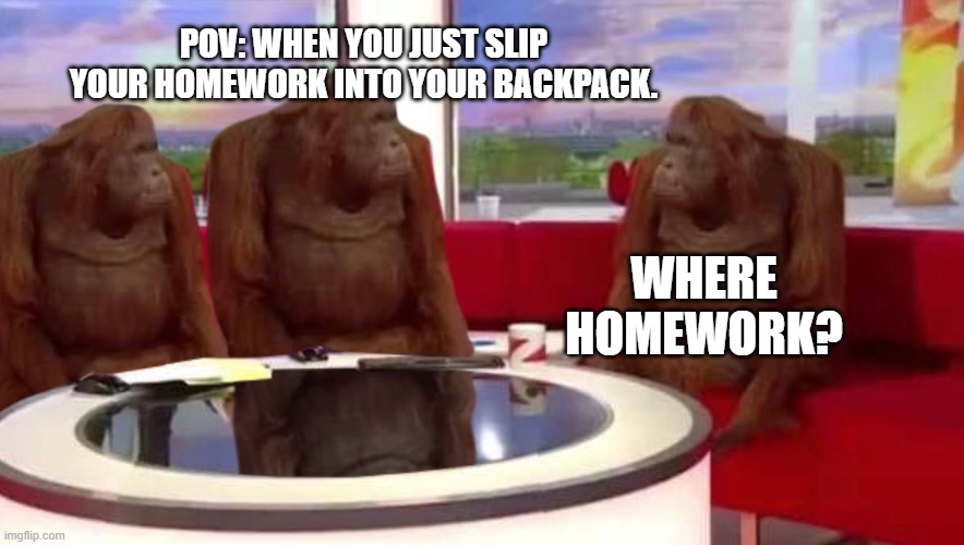 Where Homework | POV: WHEN YOU JUST SLIP YOUR HOMEWORK INTO YOUR BACKPACK. WHERE HOMEWORK? | image tagged in where monkey | made w/ Imgflip meme maker