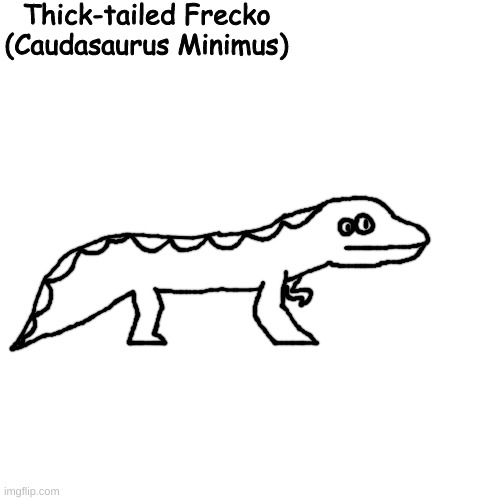 drops its big meaty tail when scared | Thick-tailed Frecko
(Caudasaurus Minimus) | made w/ Imgflip meme maker