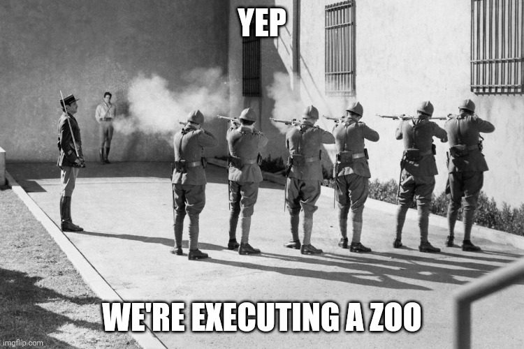 firing squad | YEP WE'RE EXECUTING A ZOO | image tagged in firing squad | made w/ Imgflip meme maker