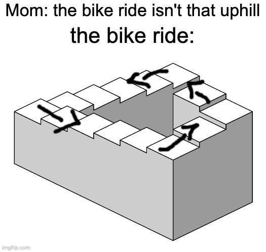real | Mom: the bike ride isn't that uphill; the bike ride: | image tagged in infinite staircase | made w/ Imgflip meme maker