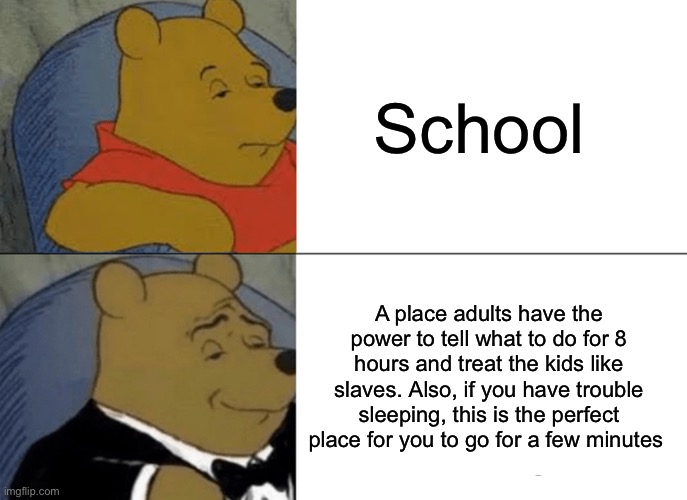 Relatable | School; A place adults have the power to tell what to do for 8 hours and treat the kids like slaves. Also, if you have trouble sleeping, this is the perfect place for you to go for a few minutes | image tagged in memes,tuxedo winnie the pooh | made w/ Imgflip meme maker