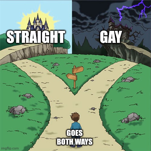 My sexuality, put into a meme | STRAIGHT; GAY; GOES BOTH WAYS | image tagged in two paths | made w/ Imgflip meme maker