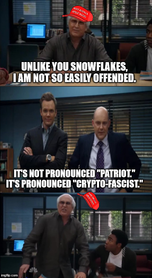 MAGA Snowflake | UNLIKE YOU SNOWFLAKES, I AM NOT SO EASILY OFFENDED. IT'S NOT PRONOUNCED "PATRIOT." IT'S PRONOUNCED "CRYPTO-FASCIST." | image tagged in maga snowflake | made w/ Imgflip meme maker