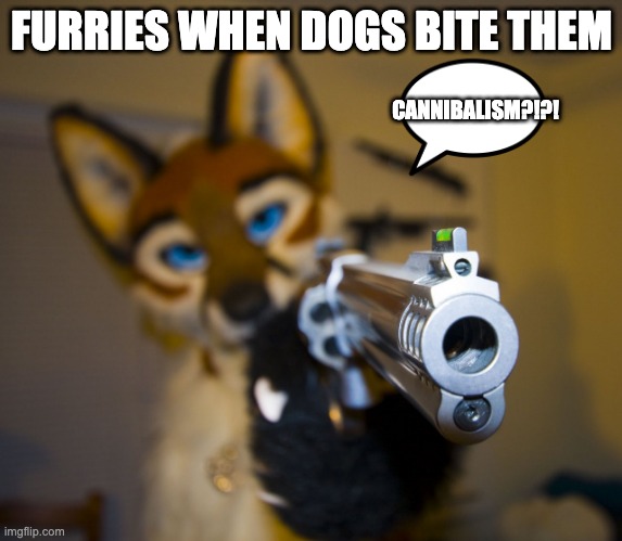 i need friends lol | FURRIES WHEN DOGS BITE THEM; CANNIBALISM?!?! | image tagged in furry with gun | made w/ Imgflip meme maker