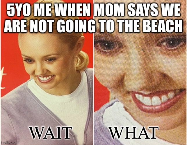 How dare u mom | 5YO ME WHEN MOM SAYS WE ARE NOT GOING TO THE BEACH; WAIT        WHAT | image tagged in wait what | made w/ Imgflip meme maker