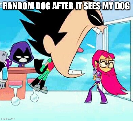 Based on a true story | RANDOM DOG AFTER IT SEES MY DOG | image tagged in robin yelling at starfire | made w/ Imgflip meme maker