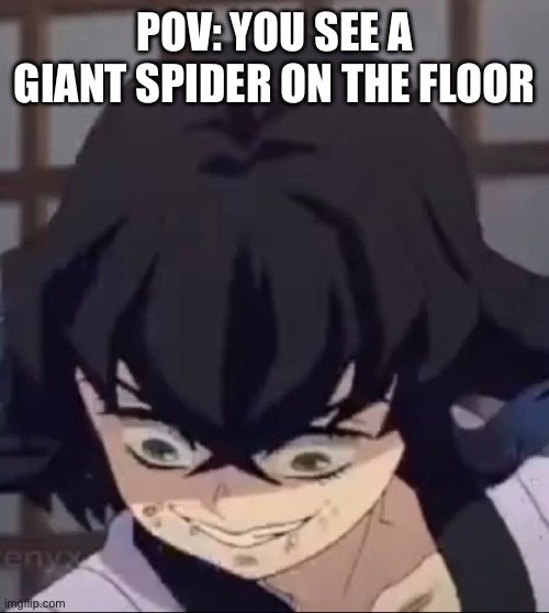 Meme | POV: YOU SEE A GIANT SPIDER ON THE FLOOR | image tagged in meme | made w/ Imgflip meme maker