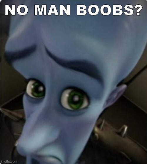 Megamind No Bitches Blank Template | NO MAN BOOBS? | image tagged in megamind no bitches blank template | made w/ Imgflip meme maker