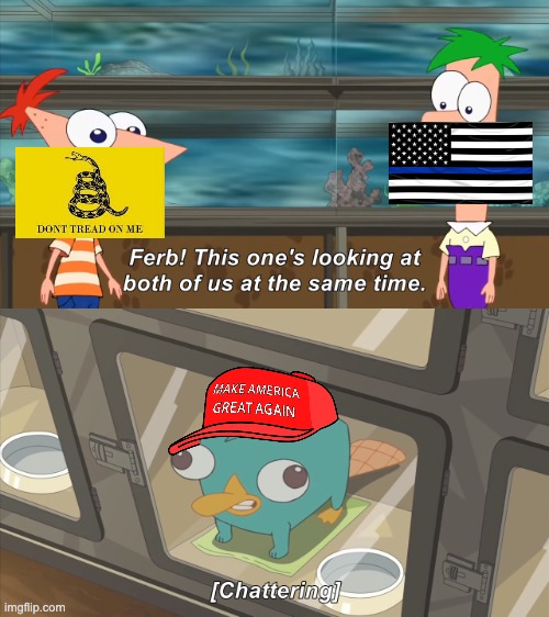 phineas and ferb | image tagged in phineas and ferb | made w/ Imgflip meme maker