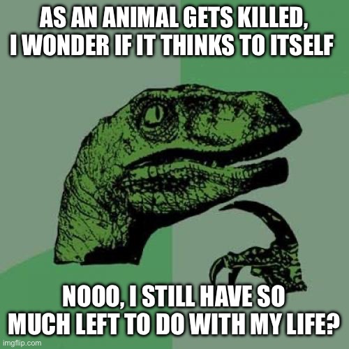Philosoraptor | AS AN ANIMAL GETS KILLED, I WONDER IF IT THINKS TO ITSELF; NOOO, I STILL HAVE SO MUCH LEFT TO DO WITH MY LIFE? | image tagged in memes,philosoraptor | made w/ Imgflip meme maker