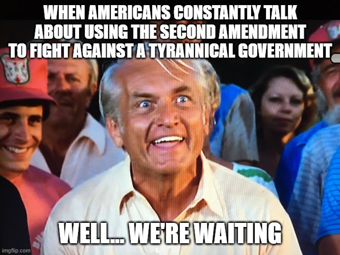 stop talking and let's fix it. | WHEN AMERICANS CONSTANTLY TALK ABOUT USING THE SECOND AMENDMENT TO FIGHT AGAINST A TYRANNICAL GOVERNMENT; WELL... WE'RE WAITING | image tagged in caddyshack we're waiting,americans,second amendment,government,tyranny | made w/ Imgflip meme maker