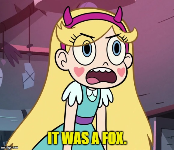 Star Butterfly frustrated | IT WAS A FOX. | image tagged in star butterfly frustrated | made w/ Imgflip meme maker