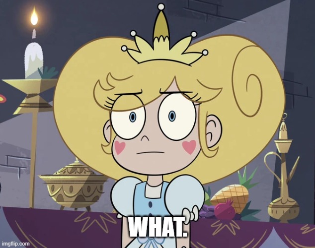 Star Butterfly with a blank stare | WHAT. | image tagged in star butterfly with a blank stare | made w/ Imgflip meme maker