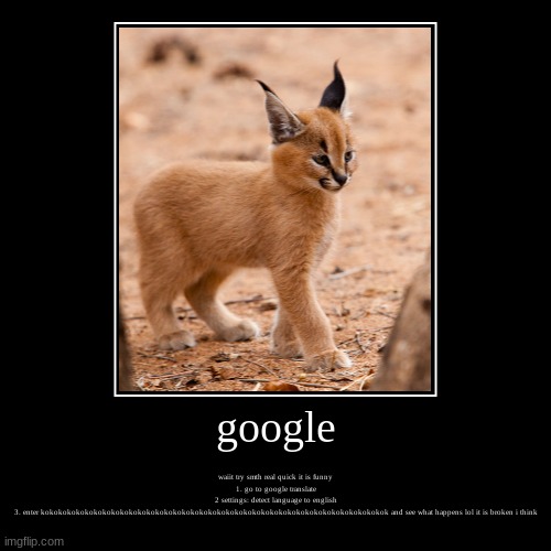 google | google | waiit try smth real quick it is funny
1. go to google translate
2 settings: detect language to english
3. enter kokokokokokokokokok | image tagged in funny,demotivationals | made w/ Imgflip demotivational maker