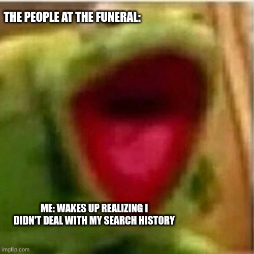 AHHHHHHHHHHHHH | THE PEOPLE AT THE FUNERAL:; ME: WAKES UP REALIZING I DIDN'T DEAL WITH MY SEARCH HISTORY | image tagged in ahhhhhhhhhhhhh | made w/ Imgflip meme maker