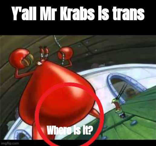 Y'all Mr Krabs is trans; Where is it? | image tagged in naked mr krabs | made w/ Imgflip meme maker